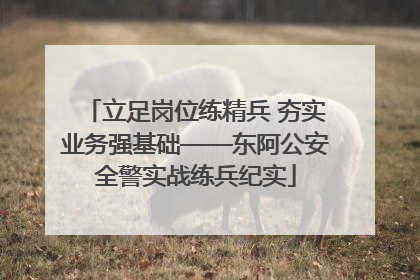 立足岗位练精兵 夯实业务强基础——东阿公安全警实战练兵纪实