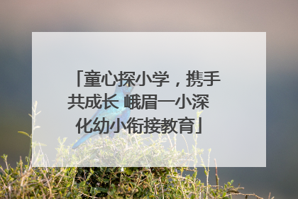 童心探小学，携手共成长 峨眉一小深化幼小衔接教育