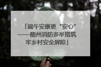 端午安康更“安心”——随州消防多举措筑牢乡村安全屏障