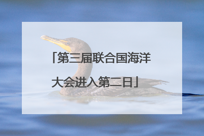 第三届联合国海洋大会进入第二日