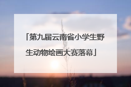 第九届云南省小学生野生动物绘画大赛落幕