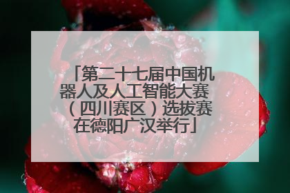第二十七届中国机器人及人工智能大赛（四川赛区）选拔赛在德阳广汉举行