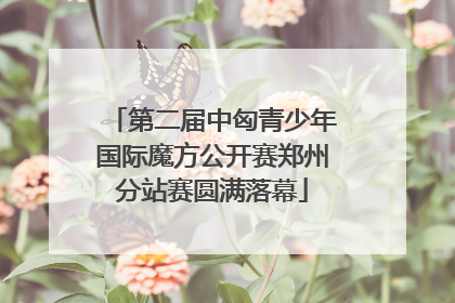 第二届中匈青少年国际魔方公开赛郑州分站赛圆满落幕