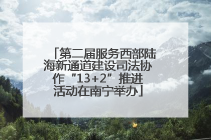 第二届服务西部陆海新通道建设司法协作“13+2”推进活动在南宁举办