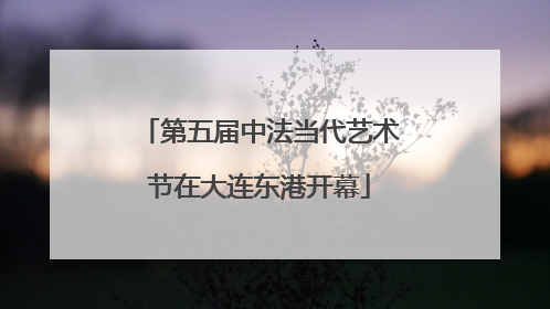 第五届中法当代艺术节在大连东港开幕