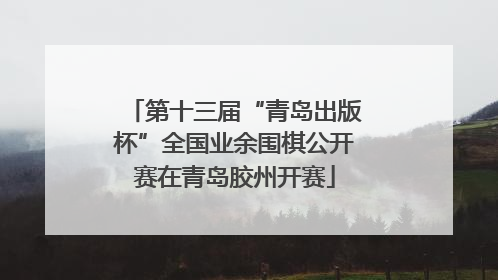 第十三届“青岛出版杯”全国业余围棋公开赛在青岛胶州开赛