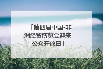 第四届中国-非洲经贸博览会迎来公众开放日