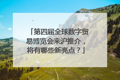 第四届全球数字贸易博览会来沪推介，将有哪些新亮点？