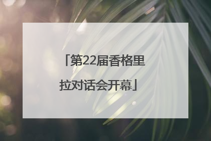 第22届香格里拉对话会开幕