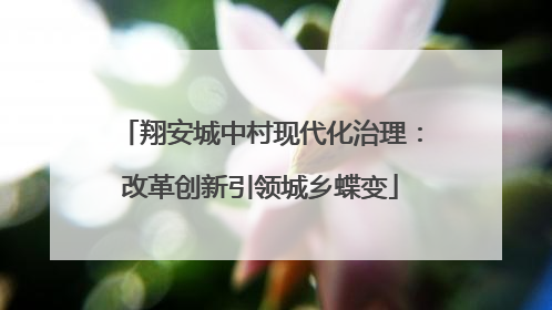 翔安城中村现代化治理：改革创新引领城乡蝶变