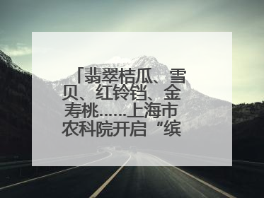 翡翠桔瓜、雪贝、红铃铛、金寿桃……上海市农科院开启“缤纷蔬菜之约”