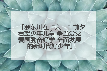 罗东川在“六一”前夕看望少年儿童 争当爱党爱国勤奋好学 全面发展的新时代好少年
