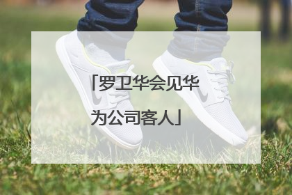 罗卫华会见华为公司客人