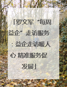 罗文军“每周益企”走访服务：益企走访暖人心 精准服务促发展