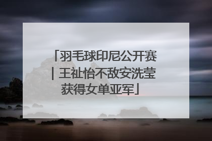 羽毛球印尼公开赛｜王祉怡不敌安洗莹 获得女单亚军