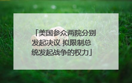 美国参众两院分别发起决议 拟限制总统发起战争的权力