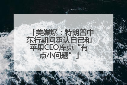 美媒爆：特朗普中东行期间承认自己和苹果CEO库克“有点小问题”