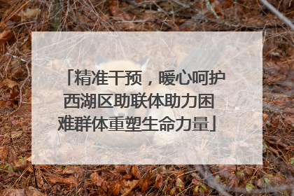 精准干预，暖心呵护 西湖区助联体助力困难群体重塑生命力量