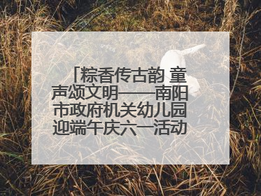 粽香传古韵 童声颂文明——南阳市政府机关幼儿园迎端午庆六一活动丰富多彩