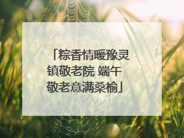 粽香情暖豫灵镇敬老院 端午敬老意满桑榆