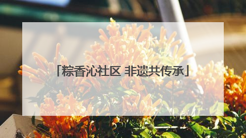 粽香沁社区 非遗共传承