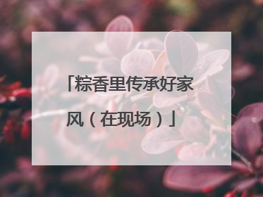 粽香里传承好家风（在现场）