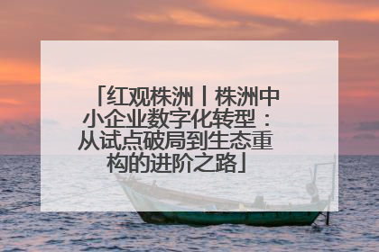 红观株洲丨株洲中小企业数字化转型：从试点破局到生态重构的进阶之路
