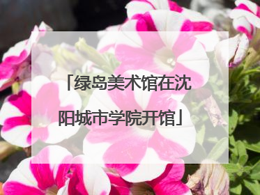 绿岛美术馆在沈阳城市学院开馆