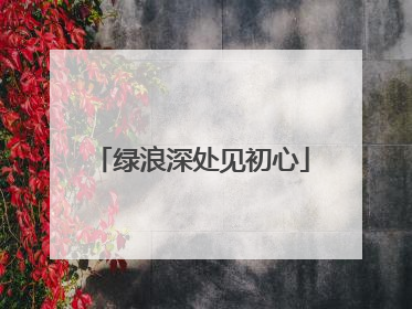 绿浪深处见初心