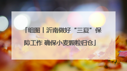 组图丨沂南做好“三夏”保障工作 确保小麦颗粒归仓