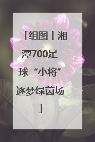 组图丨湘潭700足球“小将”逐梦绿茵场