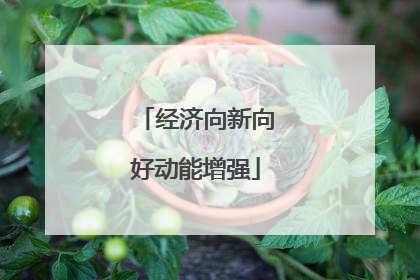 经济向新向好动能增强