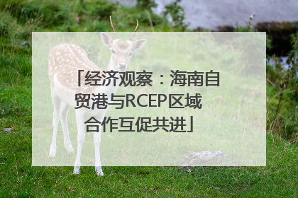 经济观察：海南自贸港与RCEP区域合作互促共进