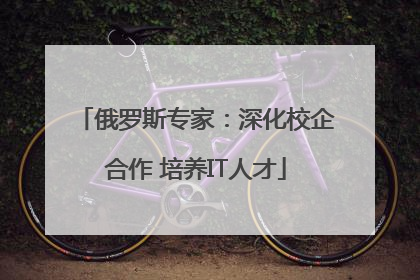 俄罗斯专家：深化校企合作 培养IT人才