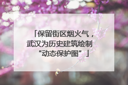 保留街区烟火气，武汉为历史建筑绘制“动态保护图”
