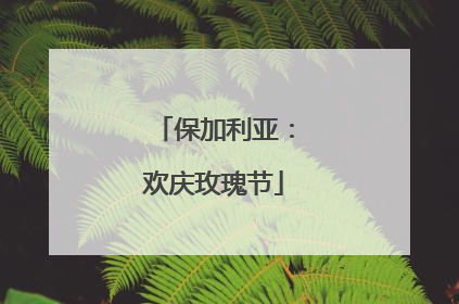 保加利亚：欢庆玫瑰节