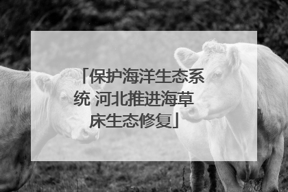 保护海洋生态系统 河北推进海草床生态修复