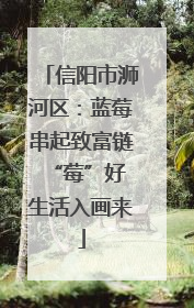 信阳市浉河区：蓝莓串起致富链 “莓”好生活入画来