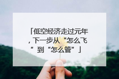 低空经济走过元年，下一步从“怎么飞”到“怎么管”