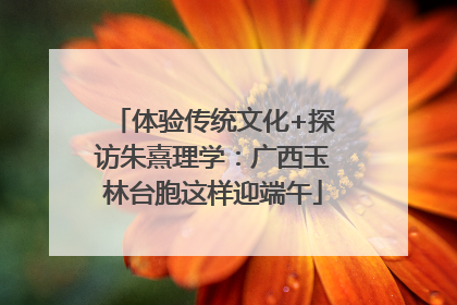 体验传统文化+探访朱熹理学：广西玉林台胞这样迎端午