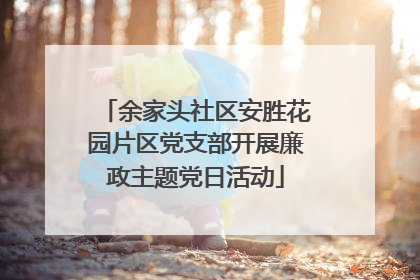 余家头社区安胜花园片区党支部开展廉政主题党日活动