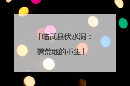 临武县伏水洞：撂荒地的重生
