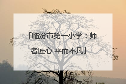 临汾市第一小学：师者匠心 平而不凡