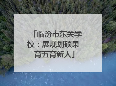 临汾市东关学校：展规划硕果 育五育新人