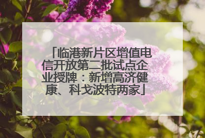 临港新片区增值电信开放第二批试点企业授牌：新增高济健康、科戈波特两家