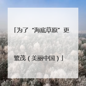 为了“海底草原”更繁茂（美丽中国）
