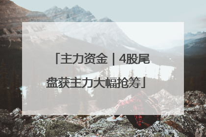 主力资金｜4股尾盘获主力大幅抢筹