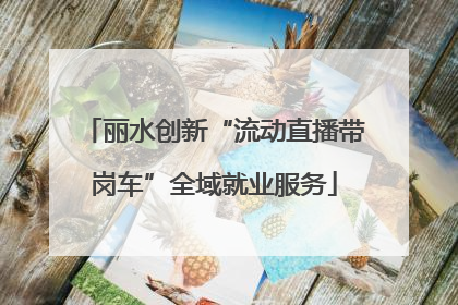 丽水创新“流动直播带岗车”全域就业服务