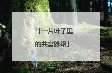 一片叶子里的共富脉络