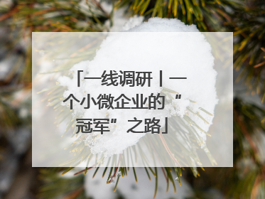 一线调研丨一个小微企业的“冠军”之路